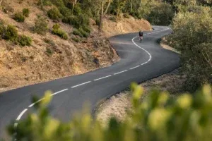 Training Progression