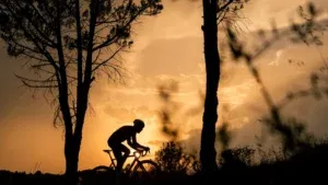 Fatigue Resistance & Durability