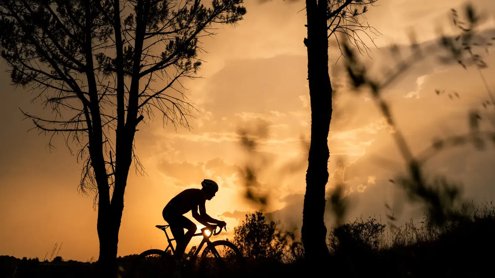 Fatigue Resistance & Durability