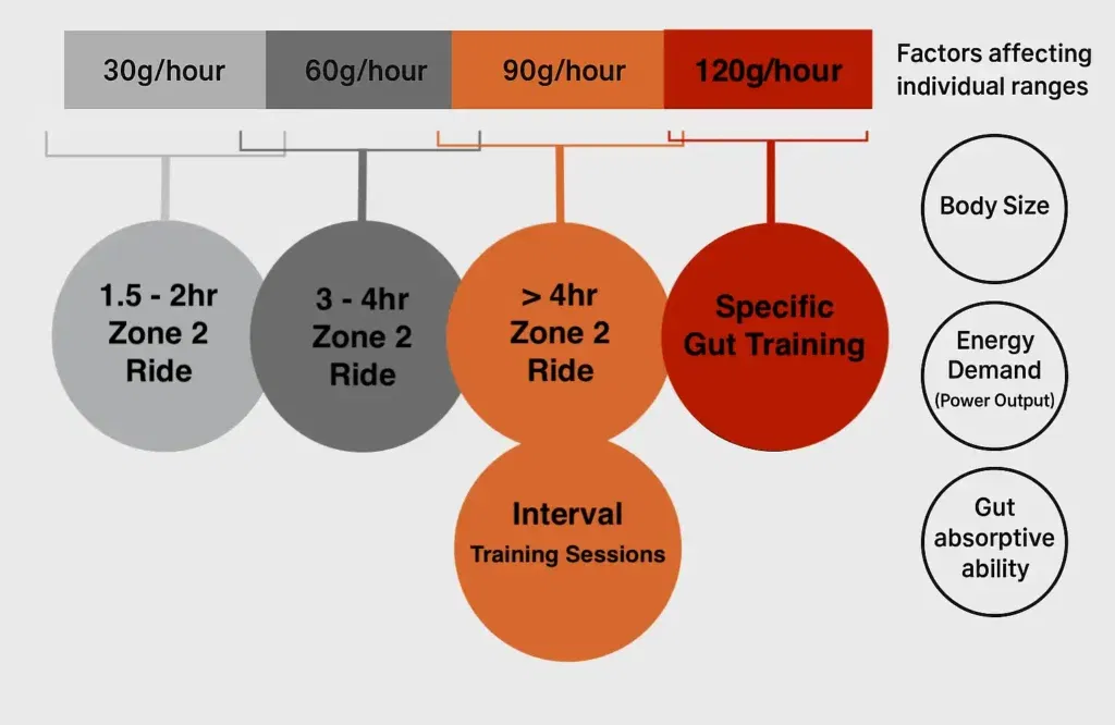How to fuel your body for training.