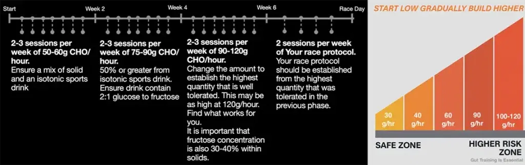 Gut Training Protocol